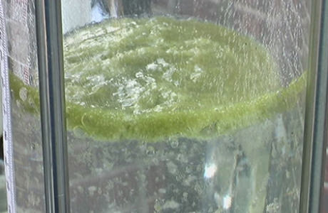Flotation Separation