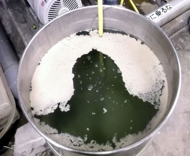 浮上分離実験左