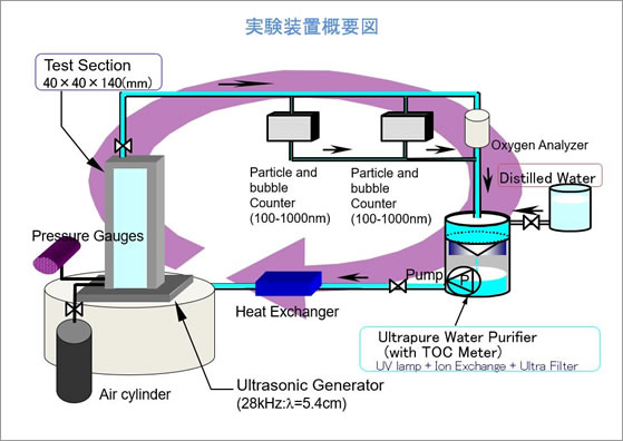 実験装置概要図